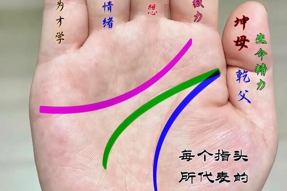 風水大師分享財運亨通的手相特征
